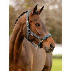 LeMieux Soft Shell Headcollar - Petrol