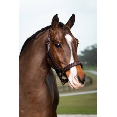 LeMieux Stitched Hunter Headcollar