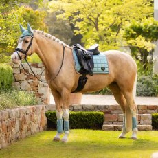 LeMieux Loire Dressage Square - Aqua