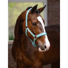 LeMieux Logo Headcollar - Lagoon