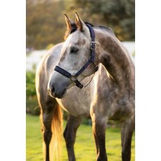 LeMieux Logo Headcollar - Navy