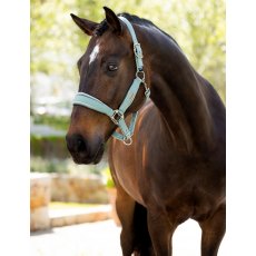 LeMieux Versailles Headcollar - Aqua