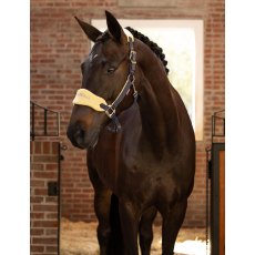 LeMieux Vogue Headcollar - Mimosa