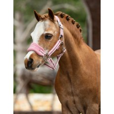 LeMieux Mini Vogue Headcollar - Peony