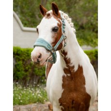 LeMieux Mini Vogue Headcollar - Aqua