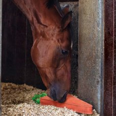 QHP Horse Toy - XL Carrot