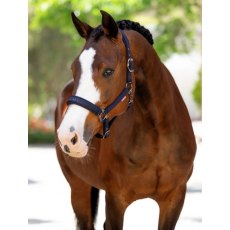 LeMieux Essense Headcollar - Navy