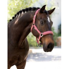 LeMieux Essense Headcollar - Rosewood