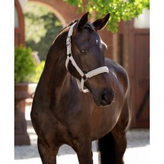 LeMieux Essense Headcollar - Stone