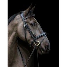 Ecorider Ecosoft Luxe Bridle