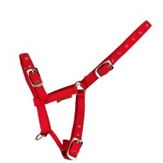 Cameo Equine Foal Headcollar Cameo Equine Foal Headcollar