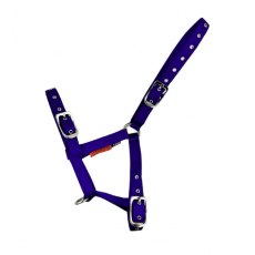 Cameo Equine Foal Headcollar Cameo Equine Foal Headcollar