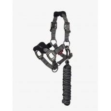 LeMieux Mini Vogue Headcollar - Black LeMieux Mini Vogue Headcollar - Black