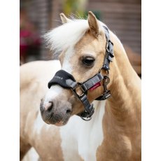 LeMieux Mini Vogue Headcollar - Black LeMieux Mini Vogue Headcollar - Black
