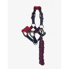 LeMieux Mini Vogue Headcollar - Burgundy LeMieux Mini Vogue Headcollar - Burgundy