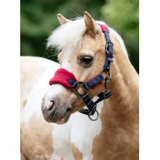 LeMieux Mini Vogue Headcollar - Burgundy LeMieux Mini Vogue Headcollar - Burgundy