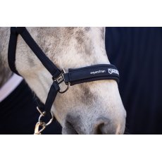 Eskadron Softshell Headcollar - Navy Eskadron Softshell Headcollar - Navy