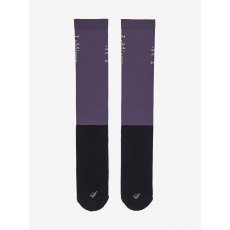 LeMieux Competition Socks (2 Pack) - Juniper LeMieux Competition Socks (2 Pack) - Juniper
