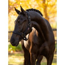 LeMieux Essence Headcollar - Black LeMieux Essence Headcollar - Black