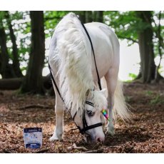 Horse Health Calming Cookies - Unicorn Horse Health Calming Cookies - Unicorn