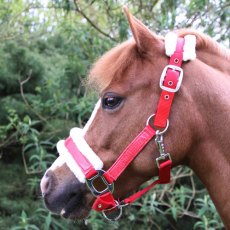 Hy Christmas Santa Headcollar Hy Christmas Santa Headcollar