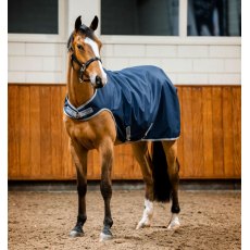 Amigo Ripstop 900D Walker Rug - 100g Amigo Ripstop 900D Walker Rug - 100g