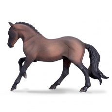 Mojo: Hanoverian Mare Bay Mojo: Hanoverian Mare Bay