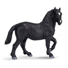 Mojo: Percheron Mojo: Percheron