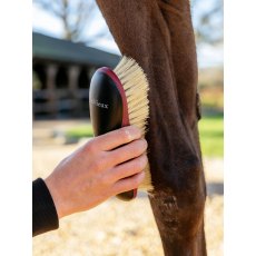 LeMieux Dandy Brush - Black LeMieux Dandy Brush - Black