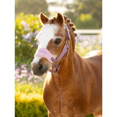 LeMieux Mini Vogue Headcollar & Leadrope - Mallow LeMieux Mini Vogue Headcollar & Leadrope - Mallow