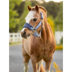 LeMieux Mini Vogue Headcollar & Leadrope - Powder Blue LeMieux Mini Vogue Headcollar & Leadrope - Powder Blue