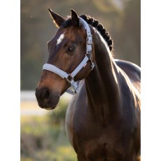 LeMieux Essence Headcollar - Powder Blue LeMieux Essence Headcollar - Powder Blue