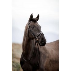 Cameo Equine EasyStride Bridle with Reins Cameo Equine EasyStride Bridle with Reins