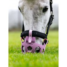 LeMieux Noma Grazing Muzzle - Mallow LeMieux Noma Grazing Muzzle - Mallow