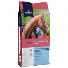 Linseed – Boost your winter feeding – Smart Horse Nutrition