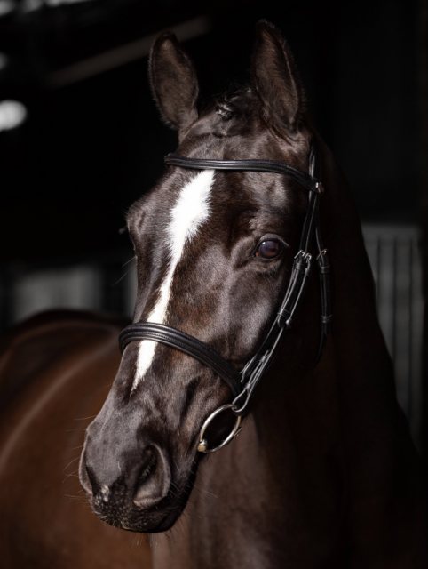 LeMieux LeMieux Arika Cavesson Bridle