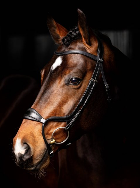 LeMieux LeMieux Arika Anatomic Noseband Bridle - Black