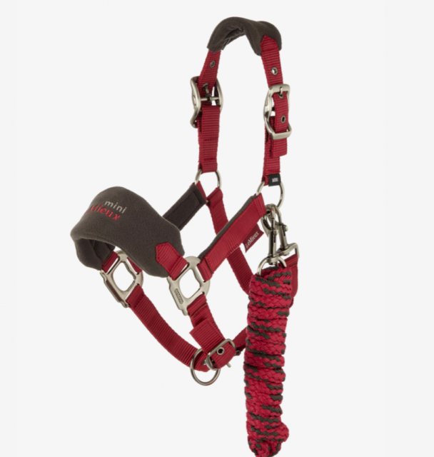 LeMieux Mini Vogue Headcollar - Ember