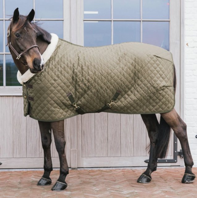 Kentucky Kentucky Show Rug - Khaki - 160g