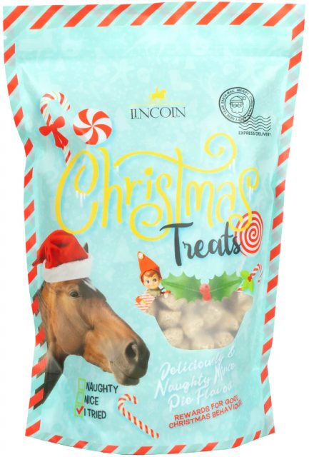 Lincoln Lincoln Christmas Treats - Mince Pie Flavour