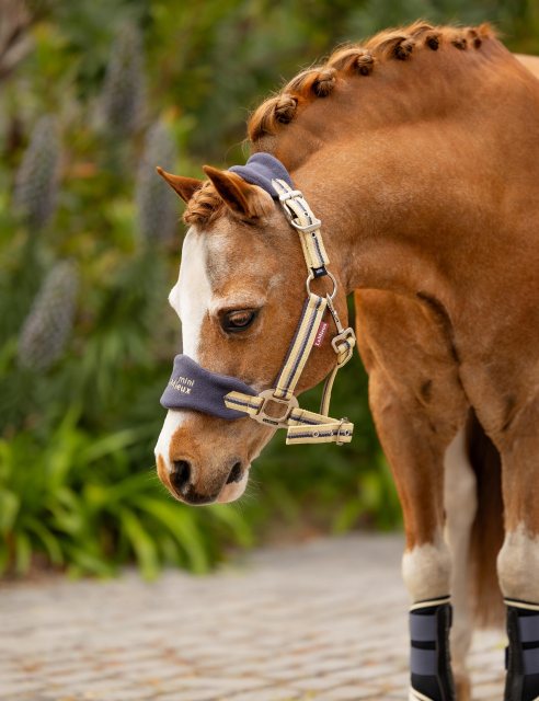 LeMieux LeMieux Mini Vogue Headcollar - Dusk