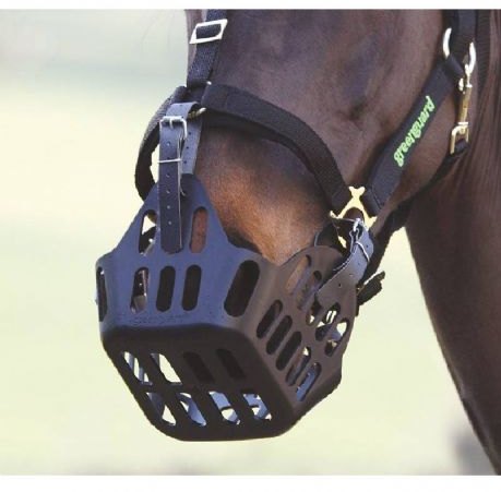 Shires Shires Greenguard Muzzle