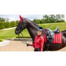 LeMieux LeMieux Loire Classic Dressage Square - Chilli