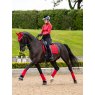 LeMieux LeMieux Loire Classic Dressage Square - Chilli