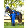 LeMieux LeMieux Young Rider Pull On Breech - Benetton