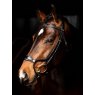 LeMieux LeMieux Arika Anatomic Noseband Bridle - Black