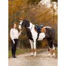 LeMieux LeMieux Loire Classic Close Contact Square - Ginger