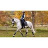 LeMieux LeMieux Loire Classic Dressage Square - Petrol