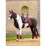 LeMieux LeMieux Loire Classic Dressage Square - Ember