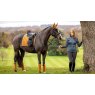 LeMieux LeMieux Loire Classic Dressage Square - Ginger